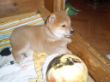 Blaze 25.9.10 